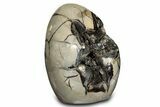 Free-Standing, Polished Septarian Geode - Black Crystals #302870-1